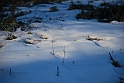S. Damiano d'Asti - Ultima neve e brina_014